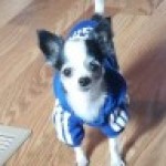Profile picture of Christy