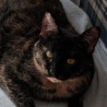 Profile picture of Karen