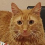 Profile picture of Susan