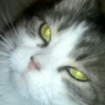 Profile picture of Jill