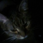 Profile picture of Jennifer