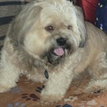 Profile picture of Patricia