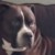 Profile picture of Shelley