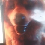 Profile picture of Stacy