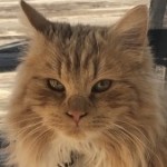 Profile picture of Kerri