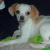Profile picture of Bernadette Cardwell