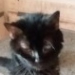 Profile picture of Rosemary