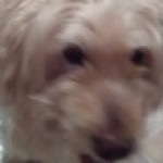 Profile picture of Regina