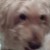 Profile picture of Regina