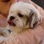 Profile picture of Darlene