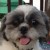 Profile picture of Lizzette