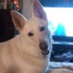 Profile picture of Ann