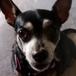 Profile picture of Dianne