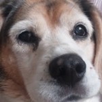 Profile picture of Michelle