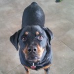 Profile picture of Martha