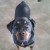 Profile picture of Martha