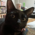 Profile picture of Amanda