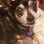 Profile picture of Dianne