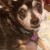 Profile picture of Dianne