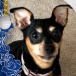 Profile picture of Linda