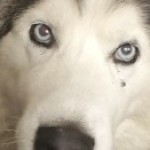 Profile picture of Kathy