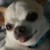 Profile picture of Amy