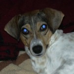Profile picture of Marty