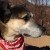 Profile picture of Madeleine