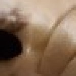 Profile picture of Elisabeth