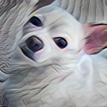 Profile picture of Becky