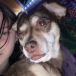 Profile picture of Kaitlynn