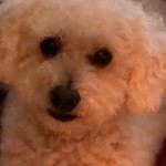 Profile picture of Maureen