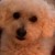 Profile picture of Maureen