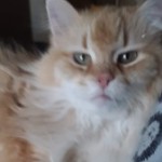 Profile picture of Jennifer