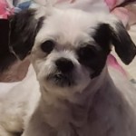 Profile picture of Elizabeth