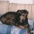 Profile picture of Barbara Duke