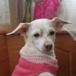 Profile picture of Mara