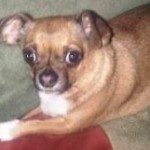 Profile picture of Marianne