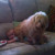 Profile picture of Debbie