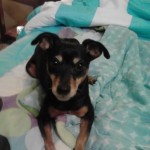 Profile picture of julie