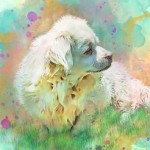 Profile picture of Tana
