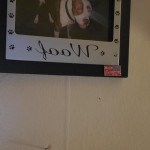 16083493538528339288554164325220