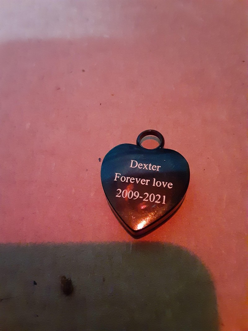 20210131_052101
