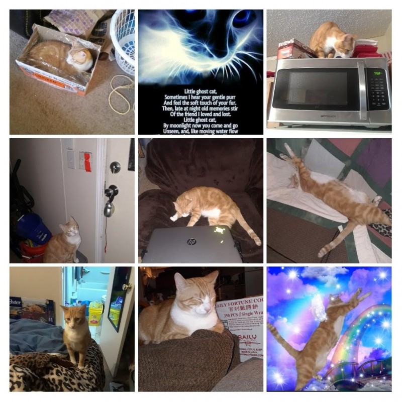 20201009_185220-collage