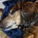 20201023_020258