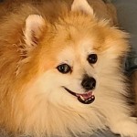 20201105_082825