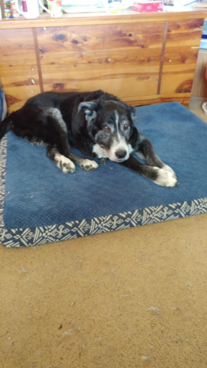 0604201002-2
