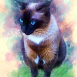 76628C39-C416-4047-B7BB-CAC38BA0F152