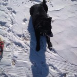 IMG_20200315_155706575