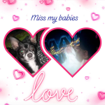 Screenshot_20220825-135343~2